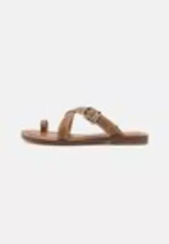Сандалии с Т-образным ремешком ASHTON FLAT THONG Michael Michael Kors, коричневый