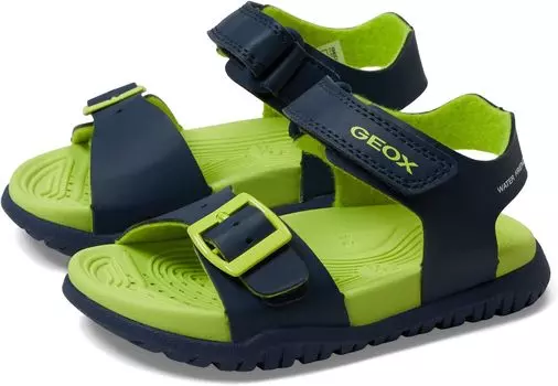 Сандалии Sandal Fusbettob 1 Geox, цвет Navy/Lime