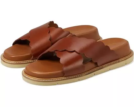 Сандалии Seychelles Woodstock, коричневый