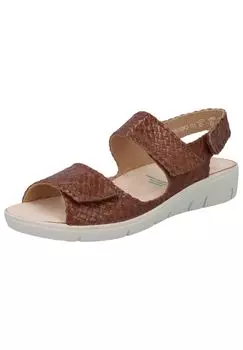 Сандалии solidus, цвет Hazel
