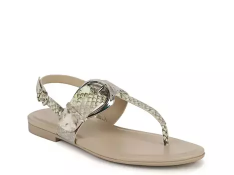 Сандалии Taylor Sandal Naturalizer, цвет limesnakeprintsynthetic