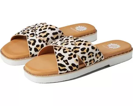 Сандалии Yellow Box Hemes, леопардовый