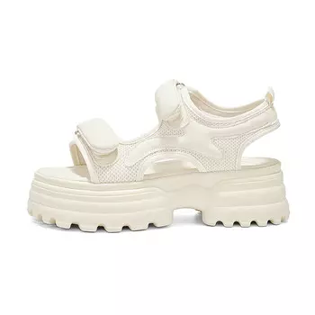 Сандалии женские A Poinsettia Princess, черный