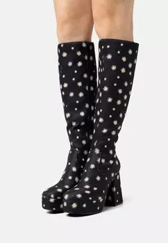 Сапоги Anna Field, черный