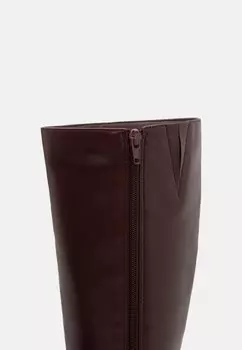 Сапоги Anna Field, темно-фиолетовый