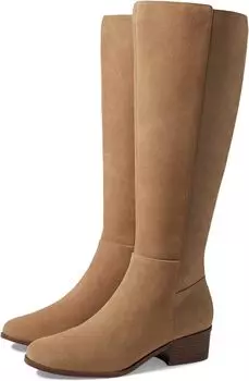 Сапоги Evalyn Tall Boot Rockport, цвет Ash Brown Suede