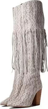 Сапоги Kitty Kat Dingo, красный