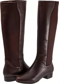 Сапоги Misty Trotters, цвет Dark Brown