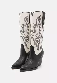 Сапоги на высоком каблуке BLANCH Dolce Vita, черный