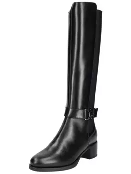 Сапоги Nero Giardini, черный