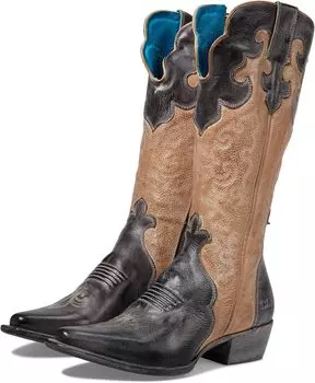 Сапоги Queen Bed Stu, цвет Black Oats Rustic White BFS