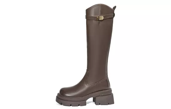 Сапоги женские коричневый Eblan