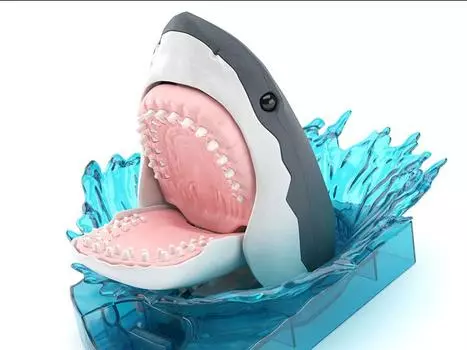 Сборная модель Exploring Lab Nature Shark Model Kit BANDAI SPIRITS