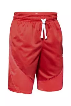 Sc30 Баскетбольные шорты с галстуком Under Armour, красный
