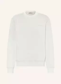 Сценарий тряпки для толстовки Carhartt Wip, серый