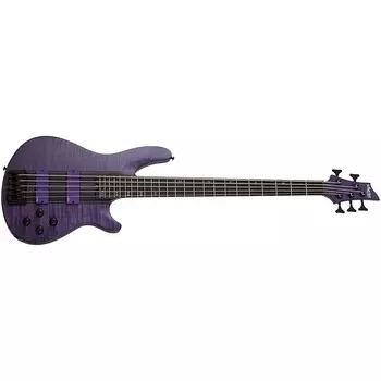 Schecter 1533 C-5 GT 5-струнный бас, EMG, гриф из черного дерева, Satin Trans Purple