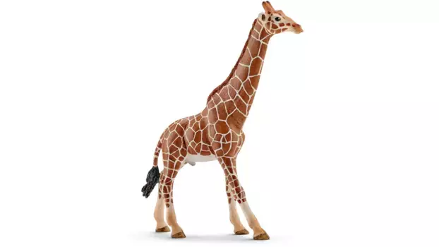 Schleich Дикая жизнь Африка Жираф-бык