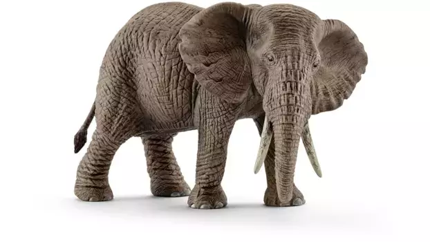 Schleich Дикая жизнь Африканская слоновья корова