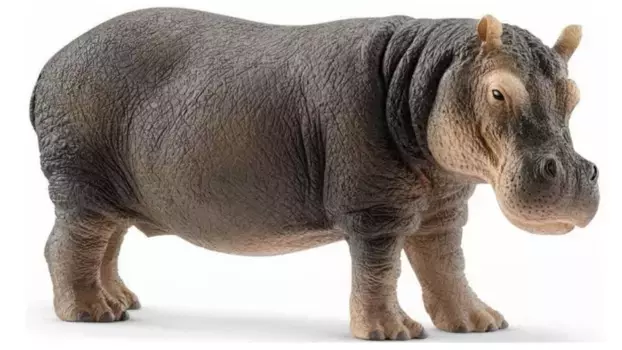 Schleich Дикая жизнь Бегемот