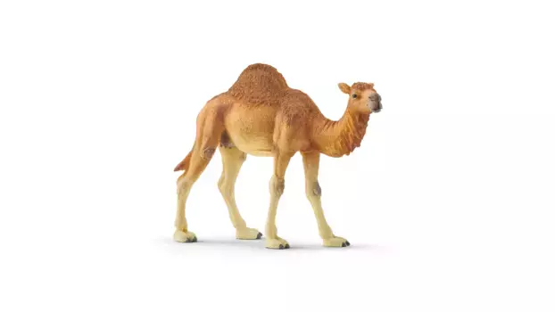 Schleich Дикая жизнь Дромадер
