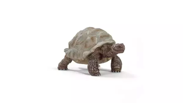 Schleich Дикая жизнь Гигантская черепаха