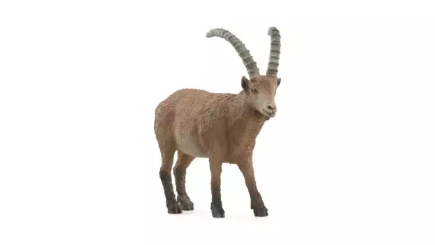 Schleich Дикая жизнь Козерог