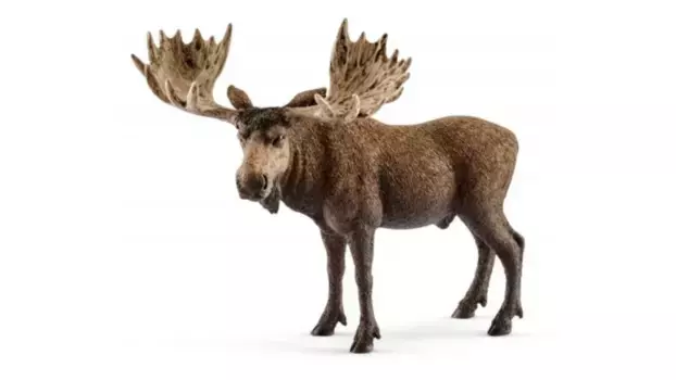 Schleich Дикая жизнь Лось-бык