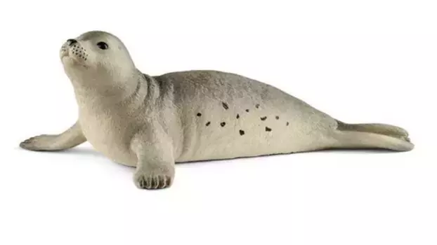 Schleich Дикая жизнь Тюлень