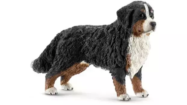 Schleich Farm World Бернский зенненхунд