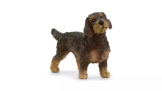 Schleich Farm World Такса жесткошерстная