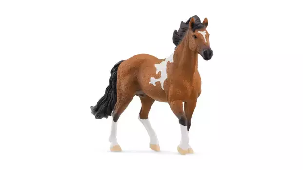 Schleich Horse Club жеребец Мангаларга Марчадор