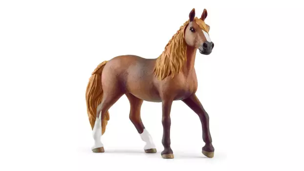 Schleich Конный клуб Кобыла Пасо Перуано