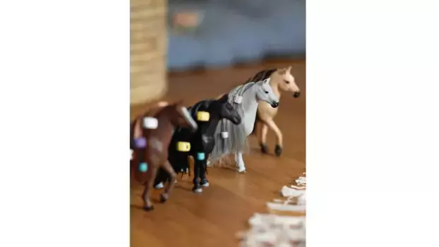 Schleich Конный клуб Софийские красавицы Beauty Horse Английская чистокровная кобыла
