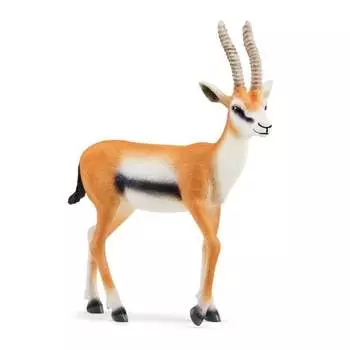 Schleich, статуэтка, Газель Томсона