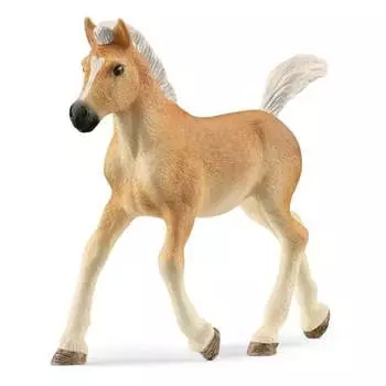 Schleich, статуэтка, жеребенок породы хафлингер