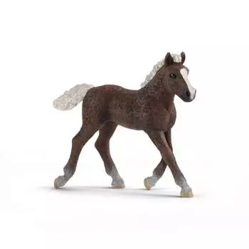 Schleich, статуэтка, жеребенок Шварцвальдской лошади 20 футов