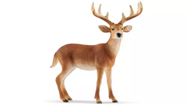 Schleich Wild Life Олень белохвостый