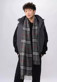 СДЕЛАНО В ГЕРМАНИИ ПЛЕД ИЗ КАШМИНКА FRAAS, Шарф