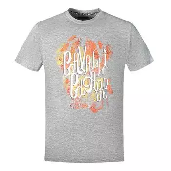 Серая футболка с ярким логотипом Cavalli Class, серый