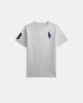 Серая хлопковая футболка для мальчика с крупным полипропиленом Polo Ralph Lauren, серый