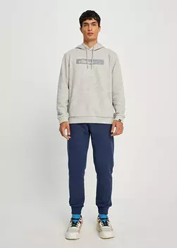 Серая мужская толстовка с капюшоном Ellesse