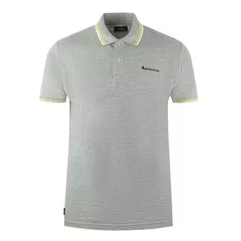 Серая рубашка поло с двойным воротником и логотипом бренда Aquascutum, серый