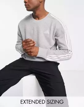 Серая толстовка с 3 полосками adidas Sportswear Essentials adidas performance