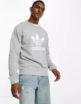 Серая толстовка с большим трилистником и логотипом adidas Originals adicolor