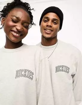 Серая толстовка с логотипом Dickies aitkin varsity на левой груди