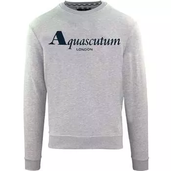 Серая толстовка с ярким логотипом London Aquascutum, серый