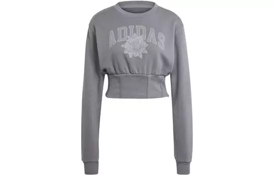 Серия серых свитеров женская серая Adidas Originals