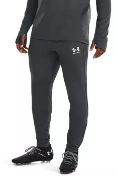 Серые джоггеры Challenger Under Armour, серый