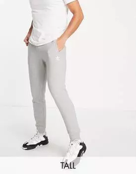 Серые джоггеры с логотипом adidas Originals Trefoil Essentials Tall