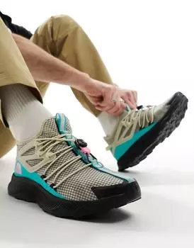 Серые кроссовки The North Face Oxeye Tech